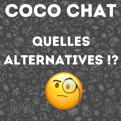 coco.chat sans inscription|Remplacement de coco chat : existe t